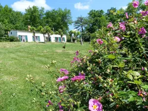 Image of Nature, wine and culture ....