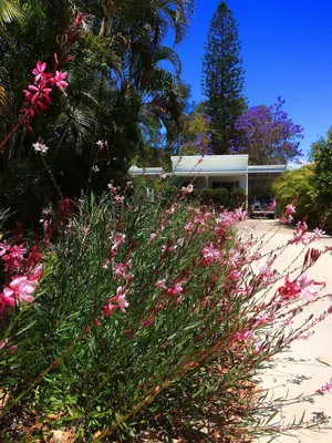 Image of 545 - Bayview Cottage - Bay view