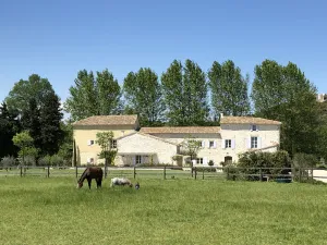 Image of La Chambre du Haras