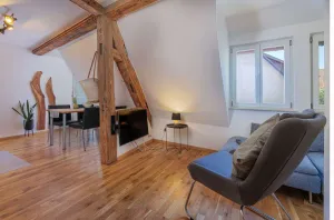 Image of Modern Apartment with lift up, for 4 pers, 1 bedroom, 1 couch, historical building