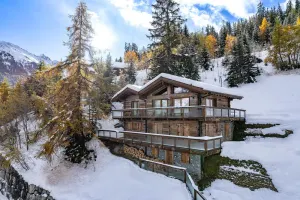 Image of The Big Bear