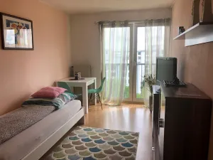 Image of Apartment in Mainz - Wohn-schlafzimmer mit Kochnische und Bad