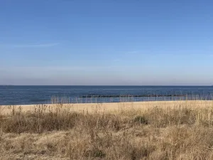 Image of Manor and Mutts #2 - Beach Front, Pet Friendly, High Speed WiFi