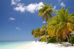 Image of One of the Best Private Beaches in US! Great Location fun activities-Fast Wifi!