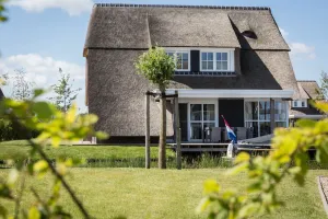 Image of Thatched villa with lounge set, right at the water