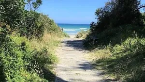 Image of Waratah Bay Tree Tops Escape