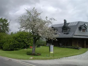 Image of Apartment Erna, Germany