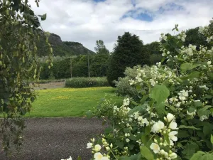Image of Cliff View, Free Parking, Free WiFi,