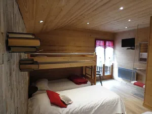 Image of Chalet Haute Savoie sauna jacuzzi private Quiet comfort wifi domaine du fraizier