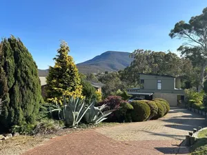 Image of Mountains and Treetops Retreat - Nature Getaway