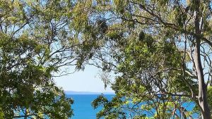 Image of Little Cove Lodge 5 - Opposite Little Cove Beach