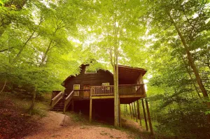 Image of Secluded cabin in Red River Gorge with a Hot Tub and wi-fi