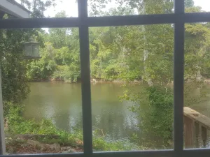 Image of River views from Bed! Walk to Uptown & ECU