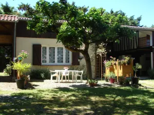Image of Little Garden