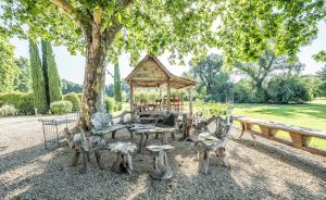 Image of Near L'Isle-sur-la-Sorgue, quiet old Provençal Mas, 19 Pers. Swimming pool.