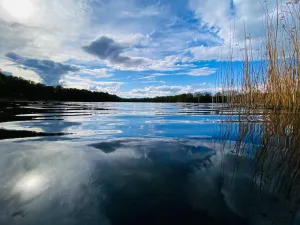 Image of Cute Bungalow on the lake, - to relax and unwind - idyllic location