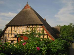 Image of Vacation under thatch