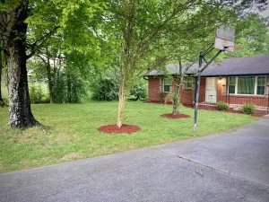 Image of family home