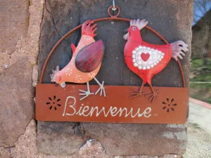 Image of Gïte the rooster on the farm with pool