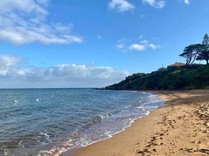 Image of Mount Eliza Seaside Studio - Close to the beach