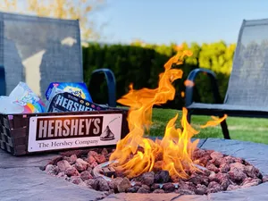Image of 10 Minutes To Hershey w\/ Firepit & Grill