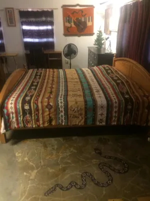 Image of Find your peace in the desert in my studio cabin on 5 acres of untouched land su