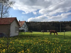 Image of Urlaub auf dem Nikolinenhof - kl. Ferienhaus