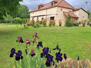 Image of Dans le Périgord Noir, sur le Domaine de la Croix des Alignés Belle Périgourdine