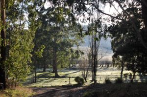 Image of Birnam - beautiful Otways retreat