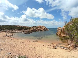 Image of Arbouse, garden level, 100 m2, 6\/9 persons, fantastic sea and mountain views