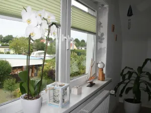 Image of Vacation apartment Maritim Ostseebad Rerik - 2-room apartment (max. 2 pers., 45m²) with garden