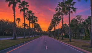 Image of PGA 3\/2 w Backyard close to everything beach mall