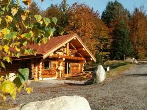 Image of Sublime chalet rondins de 140 m² en lisière de forêt et ruisseau, La Bresse, wifi