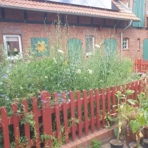 Image of Behindertenfreundliche Ferienwohnung mit Blick auf den Elbedeich