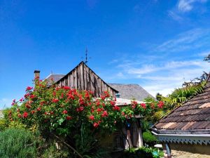 Image of Cozy Charming cottage in the Loir and Loire valleys*** French property