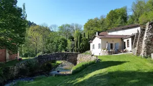 Image of Charming house and small paradise of greenery