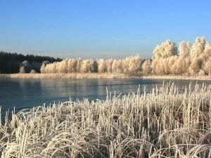 Image of Kiwi Apartment 2 - KIWI Apartments at the Dreier Lake