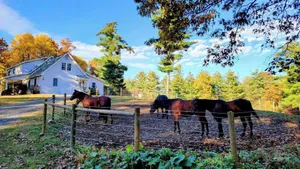 Image of Serene 1-bedroom suite on 65 acre horse property