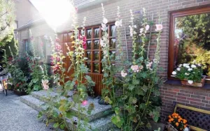 Image of Ferienwohnung-bei-Familie-Kuehl