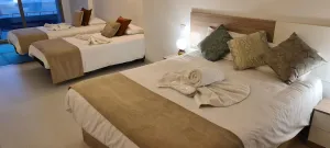Image of Amazing Loft in North Madrid
