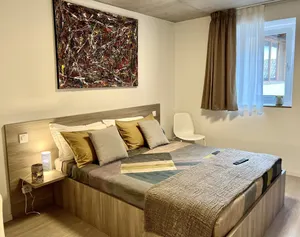 Image of Lugano Lake Nature bicycle airport train new structure