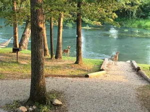 Image of Mammoth Spring Retreat. Gated for privacy, Five cabins, one price. On the River