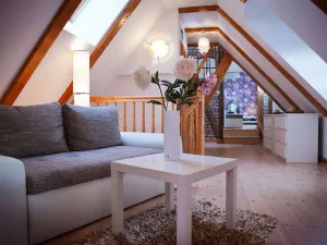 Image of Tower house \/ cottage with roof terrace - Gohr apartments