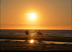 Image of Villa La Lisiere located in the old concession