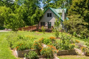 Image of 3BR, 3BA Log Cabin