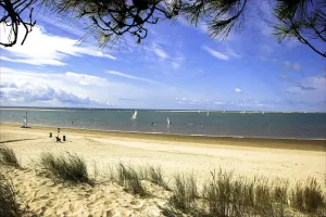 Image of New House quality delivery near beach wild coast and big coast