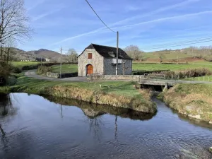 Image of Chez algorry