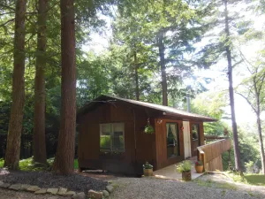 Image of Serenity - Private, secluded cabin-excellant scenic view\/sunset, hiking, pond