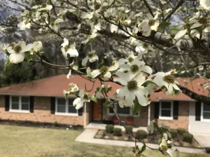 Image of 7 Miles to Masters Tournament - Less Traffic - Sleeps 8