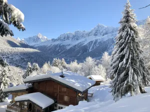 Image of Chalet Mountain Vibes